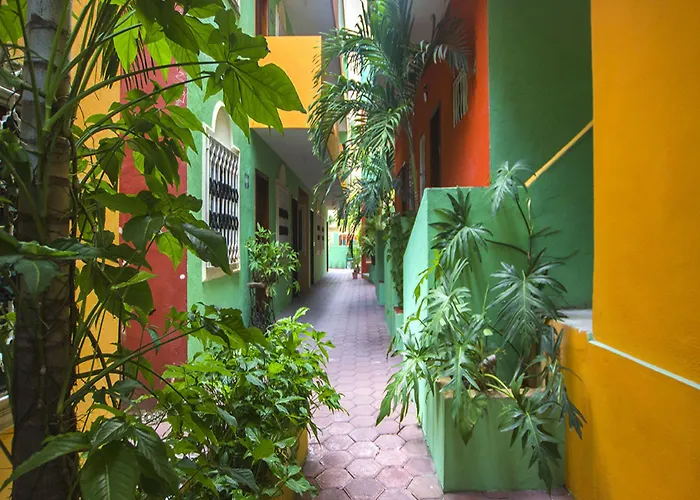 House Playa del Carmen